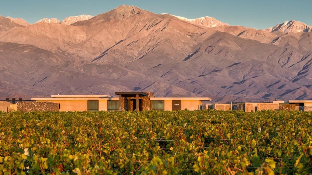 The Vines Resort & Spa Los Sauces  Exterior foto
